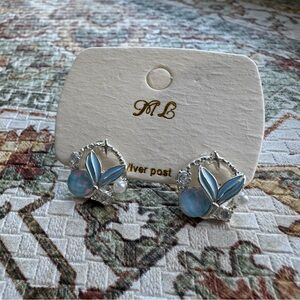 Elegant Silver and Blue Earrings
